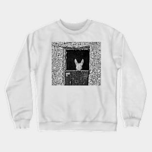 Donkey. Crewneck Sweatshirt